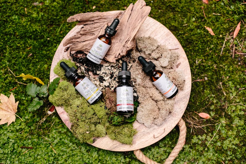 Natural CBD tincture bottles arranged on moss and driftwood