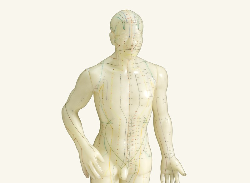 Acupuncture meridian model showing energy pathways on the human body