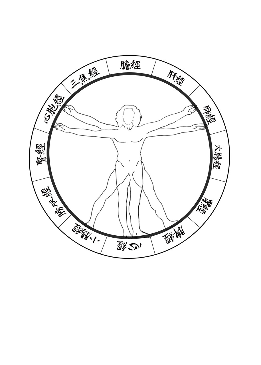 The Vitruvian Man within the Acupuncture Meridian Clock — where Western anatomy meets Eastern medicine